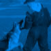 Family Protection Dog Video - Bara 