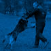 Personal Protection Dog Video - Dag
