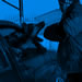 Elite Protection Dog Video - Indo