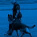 Family Protection Dog Video - MUFY