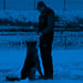 Elite Protection Dog Video - Paxo