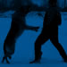Elite Protection Dog Video - PAXO