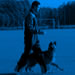Elite Protection Dog Video - TUSSY