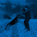 Elite Protection Dog Video - TUSSY