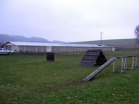 K9 Ambassador Training Field