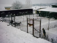 Kennels in winter