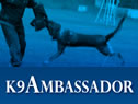 Family Protection Dog For Sale - AGILA video obedience