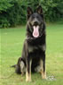 Young Outstanding Prospect Fr Sale - IRIS / sit