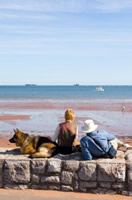 Personal Protection Dog as family member