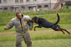 Police Dog Training Camp at Slavicin 2009