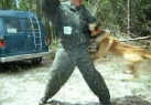 Bo's Photo Gallery