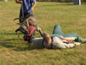 Protection Training with Great Dane - KALIF
