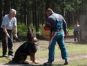 Sport Protection Training at Malvern SchH Club, U.K. 