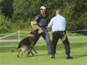 NASDU Security Dog Trial - U.K.