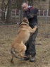 Miro's training with Czech Police 