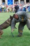Roman in action 