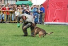 Roman in action 