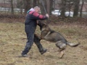 Miro's training with Czech Police 