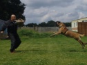 Protection Training at Top Dog Security Ltd., U.K.