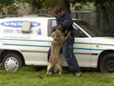 Protection Training at Top Dog Security Ltd.