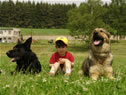 Our Dogs with Simon