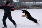 Training Day in Breclav