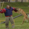 Czech Police Training Camp