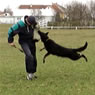 Iris in protection training